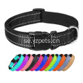 Reflekterande hundhalsband i nylon